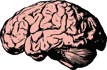 Non-Economic Damages in Brain Injury Cases